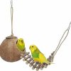 Pet Bird Niteangel | Niteangel Natural Coconut Hideaway With Ladder, Bird And Small Animal Toy (House With Ladder, Natural Surface)