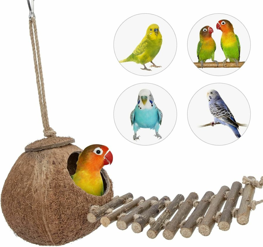 Pet Bird Niteangel | Niteangel Natural Coconut Hideaway With Ladder, Bird And Small Animal Toy (House With Ladder, Natural Surface)