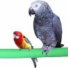 Pet Bird KINTOR | Bird Perch Rough-Surfaced Nature Wood Stand Toy Branch For Parrots