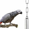 Pet Bird yoyoung | Stainless Steel Bell Toy For Birds,Heavy Duty Bird Cage Toys For Parrots, African Greys, Mini Macaws, Small Cockatoos, Cockatiels & More (Small Or Large)