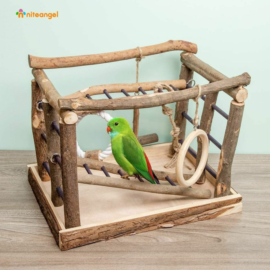 Pet Bird Niteangel | Niteangel Natural Living Playground For Birds, Bird Activity Center