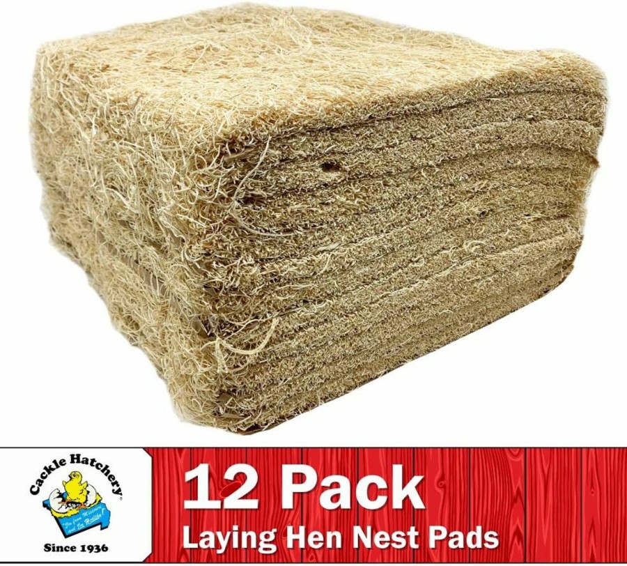 Pet Bird Cackle Hatchery | Cackle Hatchery Laying Hen Nest Box Pads Made In Usa From Sustainable Aspen Exceslior - 13X13 Nesting Box Liners (12 Pack)