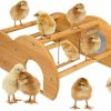 Pet Bird Enrichoice | Enrichoice Bamboo Double Layer Chick Perch With Mirror And Swing Training Perch For Baby Chicks Roosting Bar For Coop And Brooder, Easy To Assemble And Clean