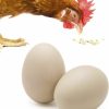 Pet Bird SunGrow | Sungrow Fake Wooden Eggs To Train Chicken & Duck From Laying In The Nesting Boxes & To Stop From Eating Own Eggs, 2 Pcs Per Pack