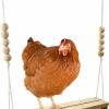 Pet Bird Backyard Barnyard | Chicken Swing Toy For Coop Handmade In Usa!!! Natural Safe Wooden Accessories Large Durable Perch Ladder For Poultry Run Rooster Hens Chicks Pet Parrots Macaw Entertainment Stress Relief For Birds