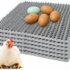 Pet Bird HOWUXZO | Howuxzo 6 Pack Washable Chicken Nesting Pads For Chicken Coops, Nesting Boxes, Reusable Nesting Pads, Laying Hen Nest Box Pads-12''X12'' (Green 6Pc)