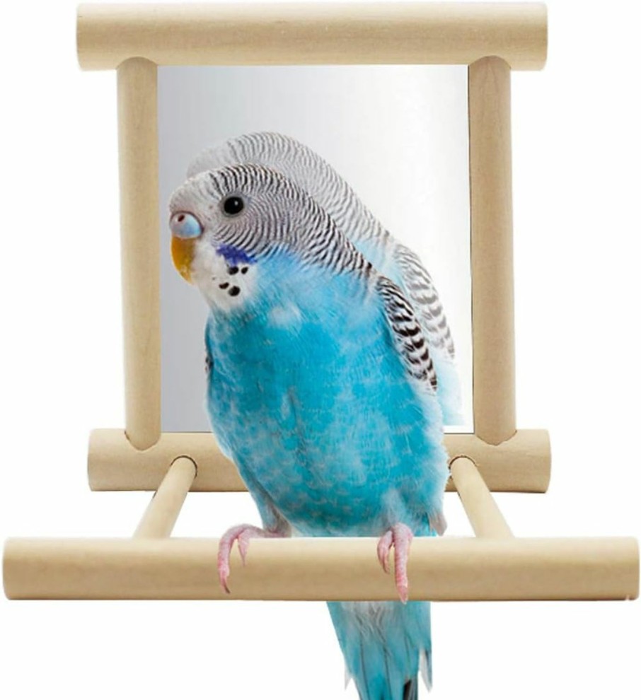 Pet Bird Hypeety | Hypeety Pet Bird Mirror With Bell Interactive Parrot Toy For Parrot Macaw African Greys Budgies Cockatoo Parakeet Cockatiels Conure Lovebird Cage Bells Mirror (C)