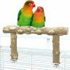 Pet Bird KINTOR | Bird Perch Stand, Bird Cage Top Perch Gym,Natural Wood Parrot Branch For Small Medium Large Parrot (M)