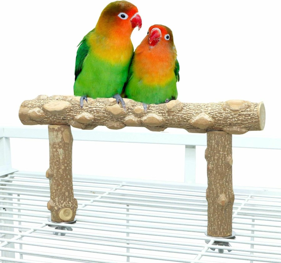 Pet Bird KINTOR | Bird Perch Stand, Bird Cage Top Perch Gym,Natural Wood Parrot Branch For Small Medium Large Parrot (M)