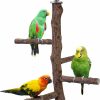 Pet Bird Filhome | Filhome Bird Perch Stand Toy, Natural Wood Parrot Perch Bird Cage Branch Perch Accessories For Parakeets Cockatiels Conures Macaws Finches Love Birds (M: 10\" Length)