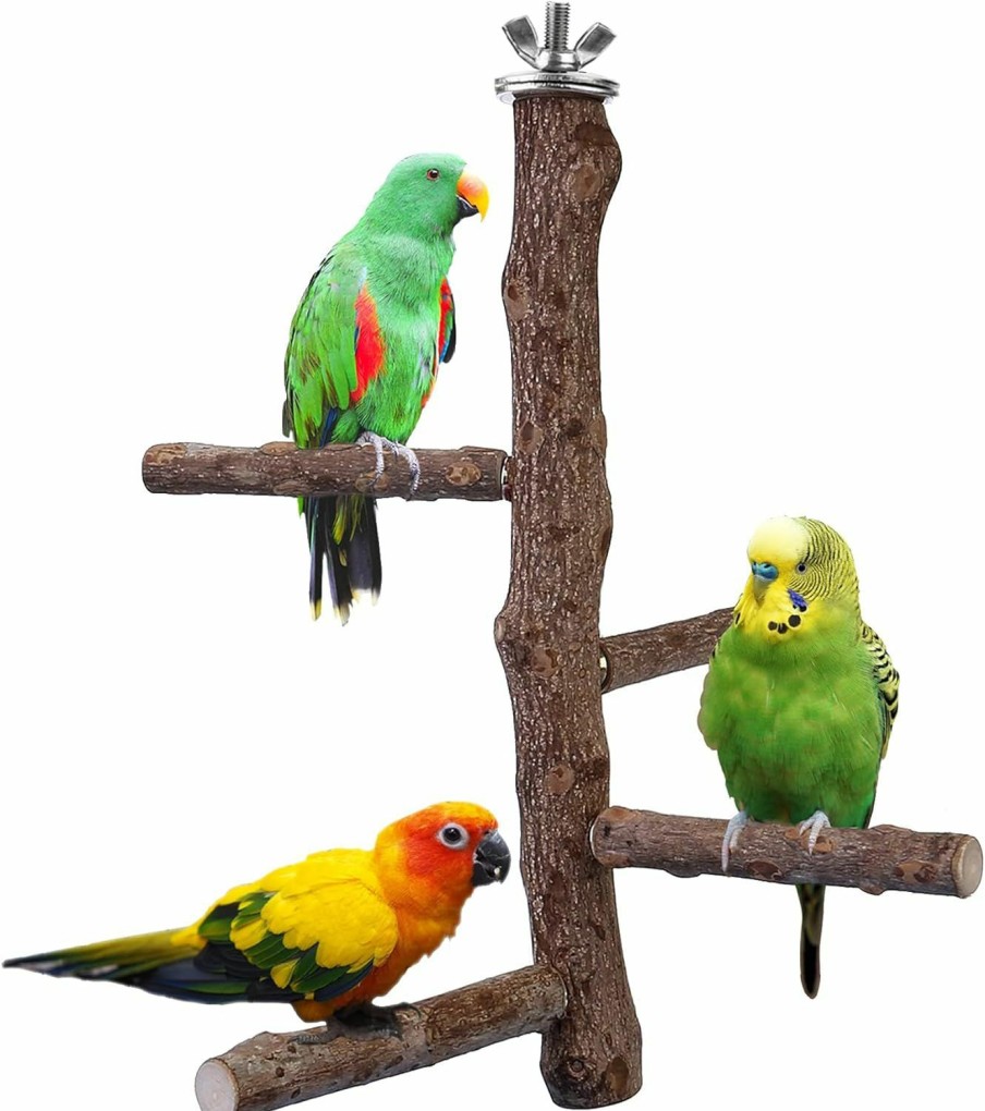 Pet Bird Filhome | Filhome Bird Perch Stand Toy, Natural Wood Parrot Perch Bird Cage Branch Perch Accessories For Parakeets Cockatiels Conures Macaws Finches Love Birds (M: 10\" Length)