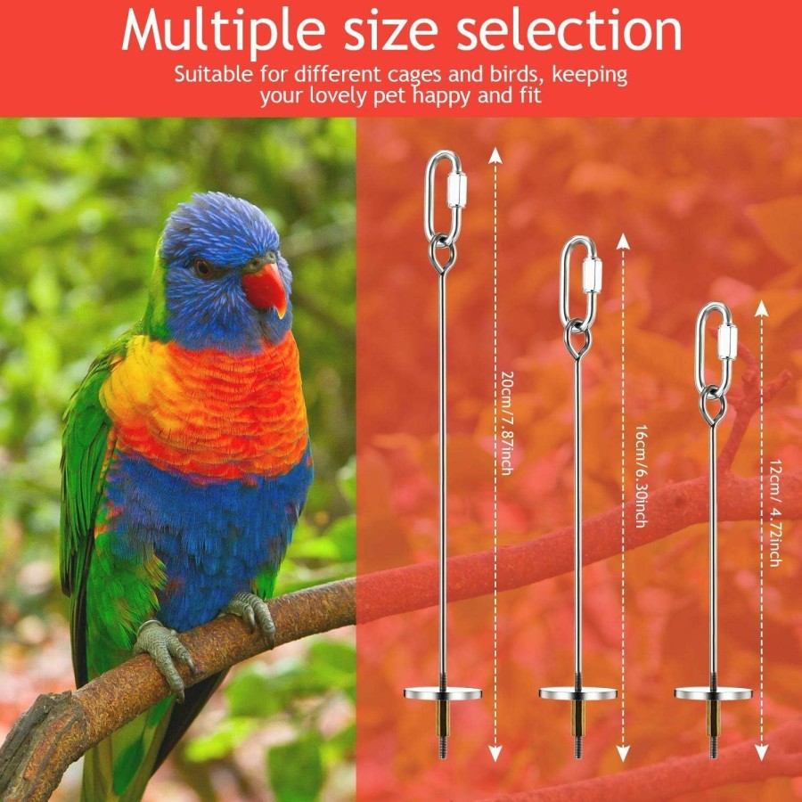 Pet Bird Weewooday | 3Pcs Bird Skewer Bird Food Holder Bird Feeders Stainless Steel Bird Parrot Skewer Small Animal Fruit Vegetable Holder Foraging Hanging Food Feeder For Parrots Cockatoo Cockatiel Cage (20, 16, 12 Cm)