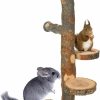 Pet Bird YKD | Ykd Chinchilla Large Hanging Wooden Rotating Platform - Small Animals Natural Fruit Wood Standing Platform - Squirrel Suger Glider Platform - Bird Perch Platform