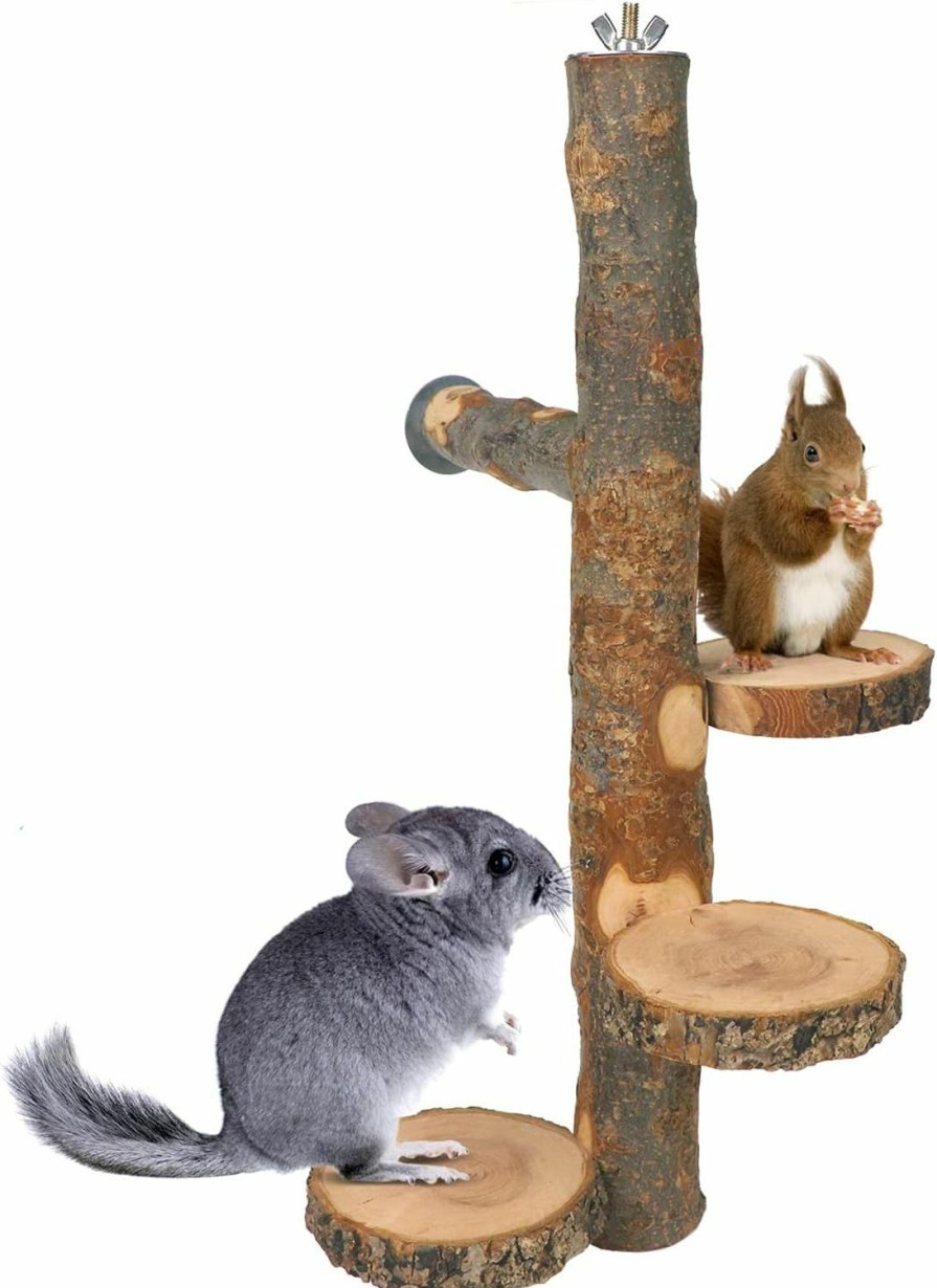 Pet Bird YKD | Ykd Chinchilla Large Hanging Wooden Rotating Platform - Small Animals Natural Fruit Wood Standing Platform - Squirrel Suger Glider Platform - Bird Perch Platform