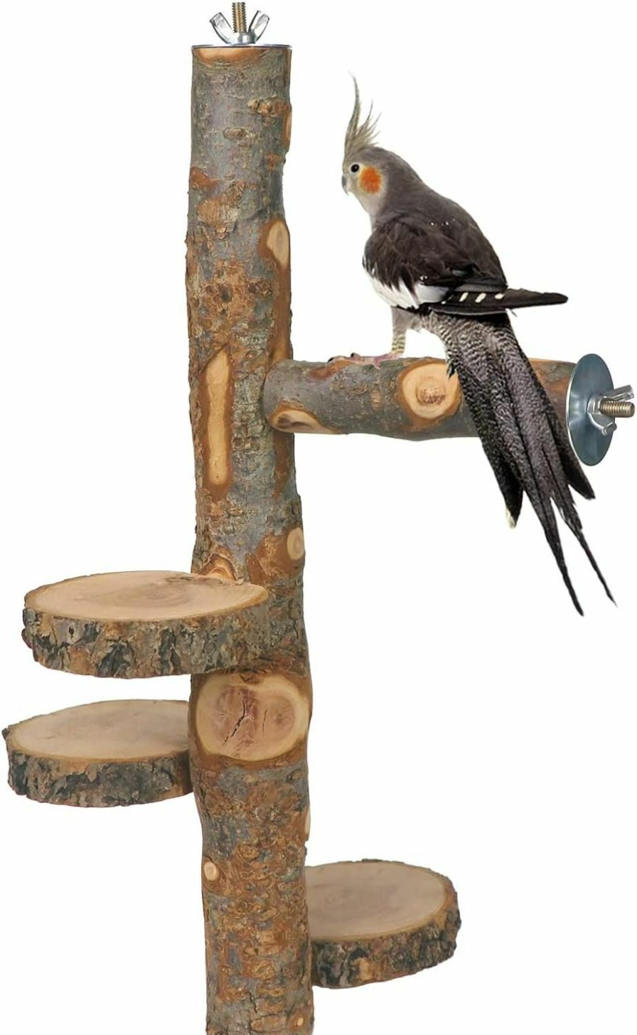 Pet Bird YKD | Ykd Chinchilla Large Hanging Wooden Rotating Platform - Small Animals Natural Fruit Wood Standing Platform - Squirrel Suger Glider Platform - Bird Perch Platform