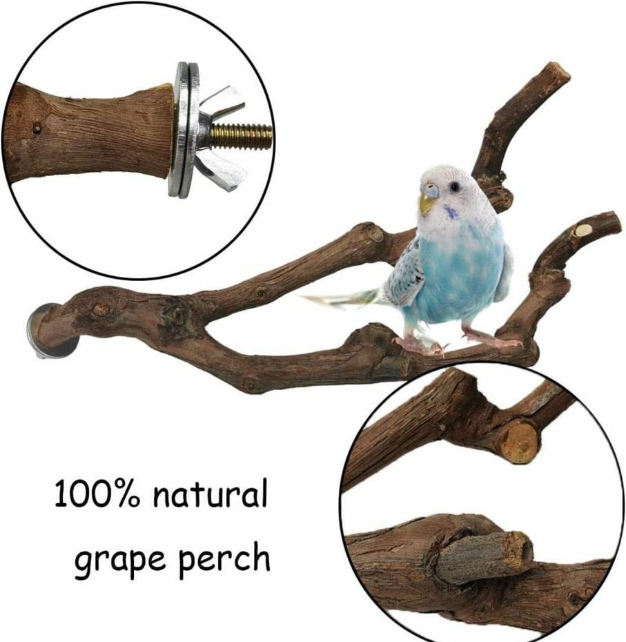 Pet Bird kathson | Kathson Natural Parrot Perch Bird Stand Pole Wild Grape Stick Paw Grinding Fork Parakeet Climbing Standing Branches Toy Chewable Cage Accessories For Small Budgies Cockatiels Lovebirds 3Pcs