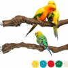 Pet Bird S-Mechanic | 2 Packs Parrot Perch Stand,Natural Grapevine Wood Perch Parrots Cage Perch Toys Suitable For Small Or Medium Parrots Parakeets Cockatiels Conures Lovebirds In Cage Accessories Supplies (Style-1)