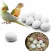 Pet Bird FOIBURELY | Foiburely 8 Pcs Solid Parrot Plastic Eggs Hatching Eggs Green Cheek, Lorikeet&Ringneck Dove, Quaker, Cockatiel. Trick The Birds To Stop Laying Eggs, Plastic Eggs