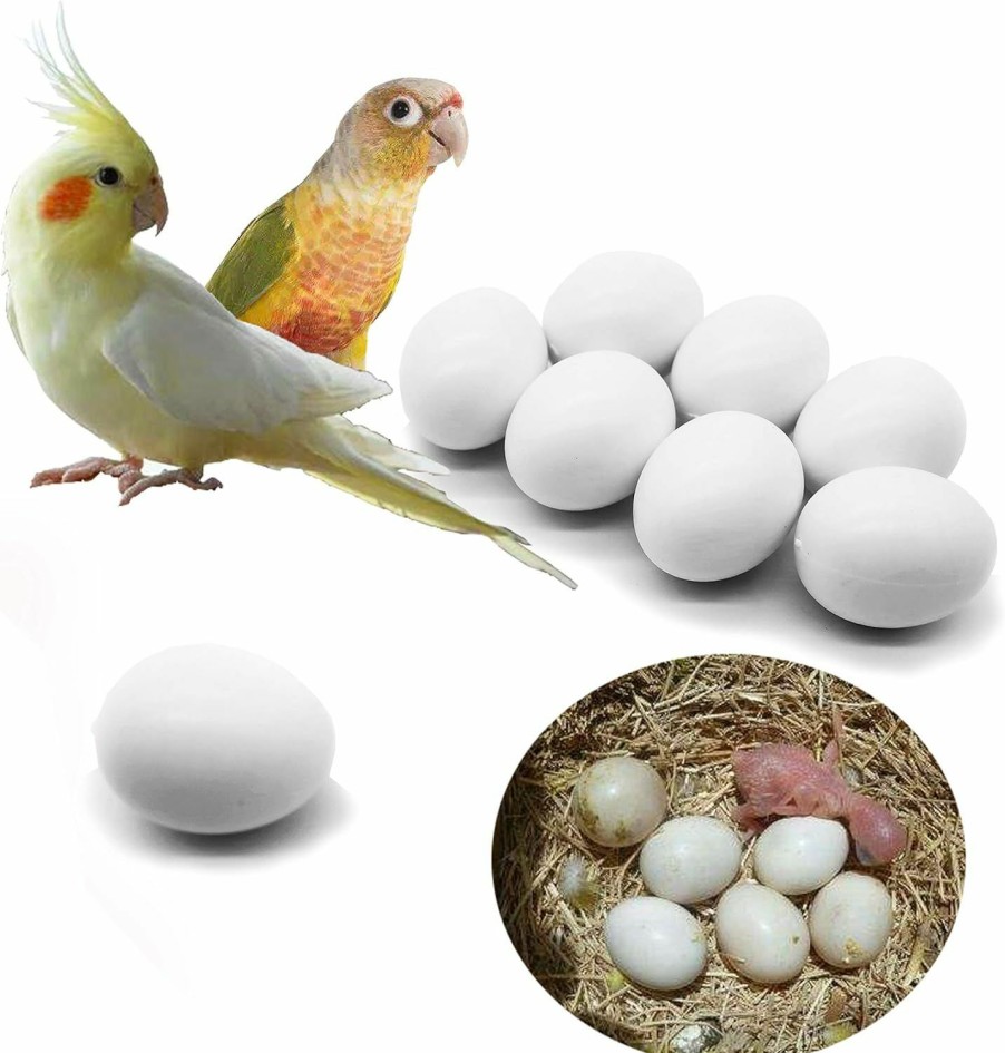 Pet Bird FOIBURELY | Foiburely 8 Pcs Solid Parrot Plastic Eggs Hatching Eggs Green Cheek, Lorikeet&Ringneck Dove, Quaker, Cockatiel. Trick The Birds To Stop Laying Eggs, Plastic Eggs