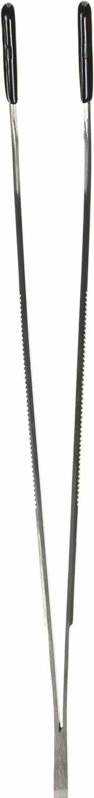 Pet Bird Zoo Med | Zoo Med Labs Angled Stainless Steel Feeding Tongs, 10"