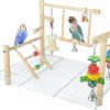 Pet Bird Wondwo | Small Bird Playground For Top Of Cage Tree Bird Stands For Parrots Bird Play Ground Outside Bird Cage Toys Outside Bird Cage Accessories Top Bird Cage Perch Parakeet Perch For Bird Cage