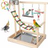 Pet Bird Wondwo | Small Bird Playground Parakeet, Bird Play Ground Parrots Table Top Parrot Stand Medium Quaker Parrot Perch Stand Cockatiel Perch Play Stand With Climb Ladders, Swing,Chewing Toys For Conure Cockatiel